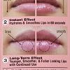 Physicians Formula Plump Potion Needle-Free Lip Plumping Cocktail