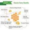 Manuka Honey Healing Eczema Cream : Aloe Vera + Shea Butter
