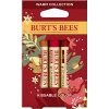 Burt's Bees Kissable Color Holiday Gift Set