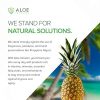 Aloe Infusion Body and Face Moisturizer