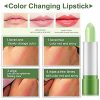 2 Pack Aloe Vera Lipstick, Firstfly Long Lasting Nutritious Lip Balm