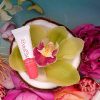 Kopari Coconut Lip Glossy - Clear - Hydrating and Moisturizing Coconut Oil