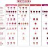 Burt's Bees 100% Natural Moisturizing Lip Shimmer
