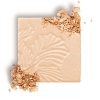 wet n wild MegaGlo Highlighting Powder, Golden Flower Crown
