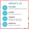 TULA Probiotic Skin Care Face Filter Blurring and Moisturizing Primer