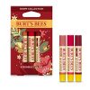 Burt's Bees Kissable Color Holiday Gift Set