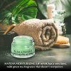 Revitalize Your Lips with Matcha Moisturizing Lip Mask Balm - Overnight Lip Care for a Youthful Glow