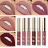Beauty Glazed Matte Nude Liquid Lipstick Lip Gloss Kit