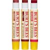 Burt's Bees Kissable Color Holiday Gift Set