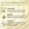 Revitalize Your Skin with Night Cream for Dry Skin – Olive Oil & Ceramides, 50 ml