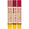 Burt's Bees Kissable Color Holiday Gift Set