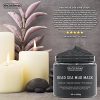 New York Biology Dead Sea Mud Mask for Face and Body Infused