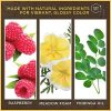 Burts Bees 100% Natural Glossy Lipstick, Blush Ripple