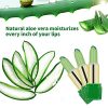 Ownest 3 Pcs Aloe Vera Lipstick, Magic Temperature Color Change