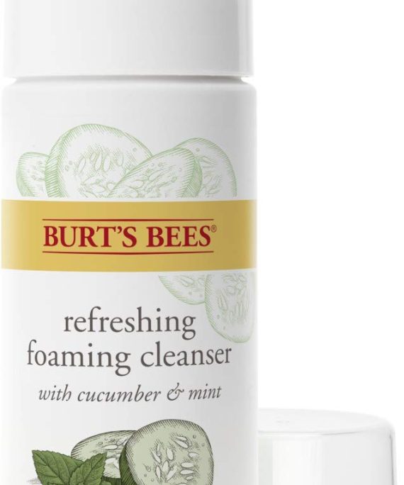 Burt's Bees Refreshing Foaming Face Cleanser and Natural Face Wash with Cucumber and Mint, 4.8 Fluid