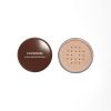 COVERGIRL Professional Loose Finishing Powder, Translucent Light Tone, Sets Makeup, Controls Shine, Won't Clog Pores, 0.7 Ounce (Packaging May Vary)