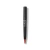 Talk Dirty Lady Gaga: LE MONSTER MATTE LIP CRAYON
