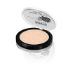 Mineral Compact Bio Powder Fix Concealer and Foundation