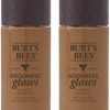 Burts Bees Goodness Glows Liquid Makeup, Chestnut