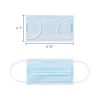 Mouth and Nose Cover for Adults 3 ply Face Masks