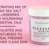Anti Aging & Exfoliation Brooklyn Botany Blueberry Body Scrub