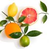 Citrus Bliss for Your Lips: USDA Organic Lip Balm by Sky Organics