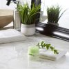Organic Aloe Vera Vitality Hydrating Makeup Primer Cream