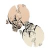 Extend Makeup Wear Time, Minimize Oil and Pores