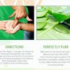Vegan Organic Antioxidant Face Wash with Matcha + Aloe