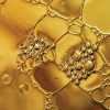 Pure Argan Oil Organic and Natural Oil that Nourishes