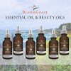 Anti-Aging Organic Virgin Marula Oil Pure Organic