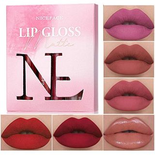 Nude Red Color Velvet Lip Plumper Makeup lipstick Set