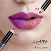 Organic Highly-Pigmented and Long-Lasting ALL-in-ONE Lipstick
