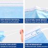 Disposable Breathable 3 Ply Earloop Safety Mask