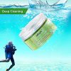 Green Tea Facial Detox Mud Mask with Aloe Vera