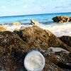 Makeup Primer & Face Moisturizer Cream with Coconut Oil