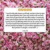 Natural Body Oil, Skincare Oil, Body Oil Organic