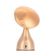 Ultimate Beauty Bar Facial Massager - Vibration and Ion-Infusion for Flawless Skin