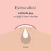 Rael Acne Pimple Healing Patch - Absorbing Cover, Invisible, Blemish Spot