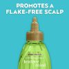 OGX Extra Strength Refreshing + Invigorating Teatree Mint Dry Scalp