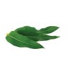L'OrÃal Paris Skincare Pure-Clay Face Mask with Eucalyptus