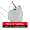 COAST KN95 Face Mask, Individually Packaged