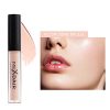 Niceface Makeup Concealer: Full Coverage for Flawless Skin - Han Shi