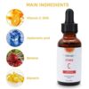 Vitamin C Serum for Face, 2019 Hyaluronic Acid Serum