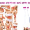 2 In 1 Face Roller Massager for Face Tightening and Lifting