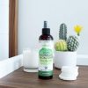Organic Tea Tree Witch Hazel Toner (8 oz) Purifying Tea Tree Toner