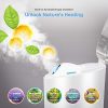 NanoSteamer PRO Professional 4-in-1 Nano Ionic Facial Steamer for Spas