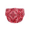 Co.Protect Premium Disposable Adult Face Mask