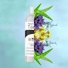 Pure Witch Hazel Toner for Face and Body Alcohol Free Therapeutic