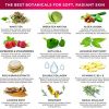 NEW LILY SADO BERRIES & TEA Adaptogen + Collagen Anti-Aging